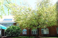 スマートハウス